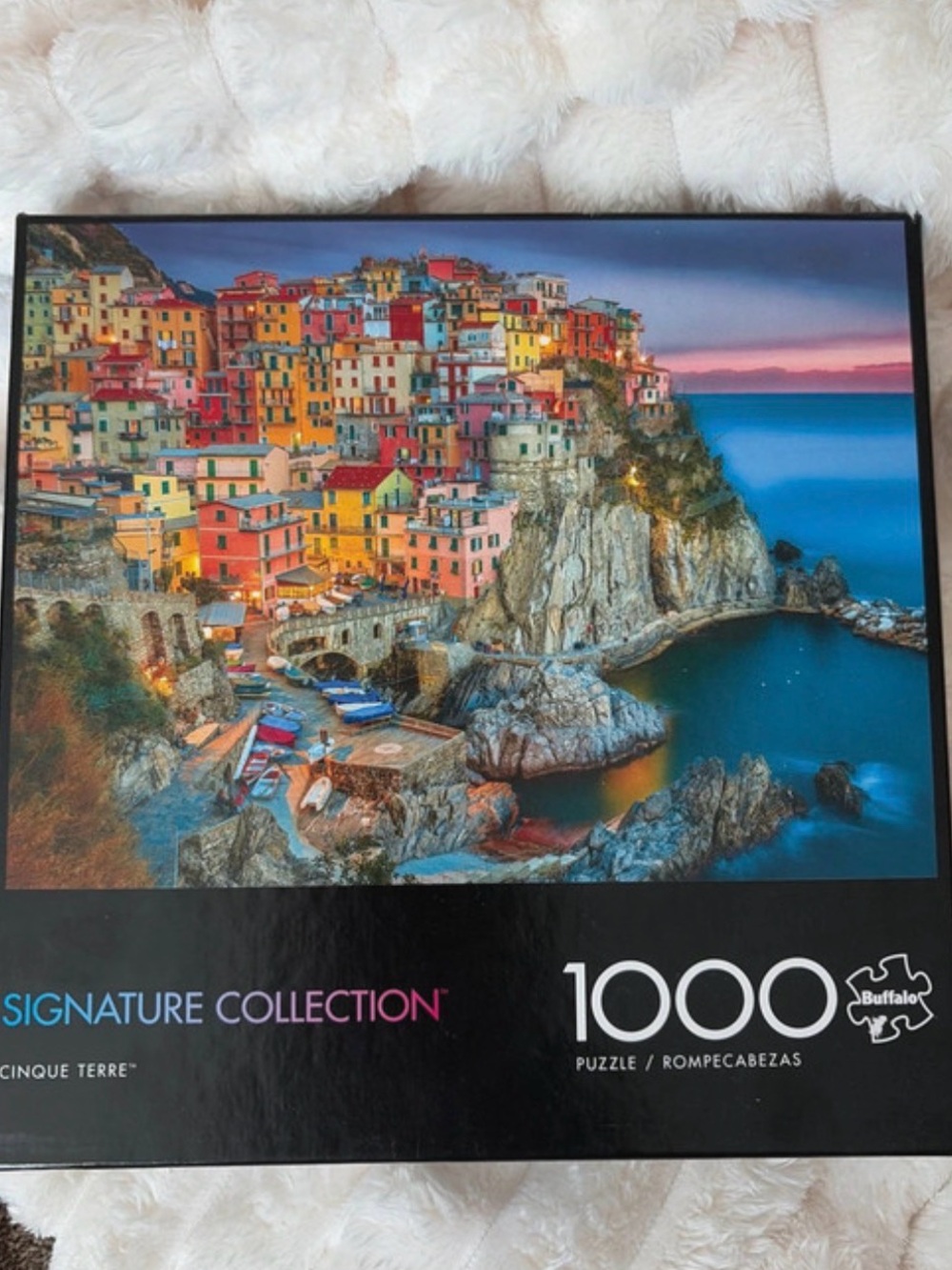 Cinque Terre 1000 Piece Puzzle